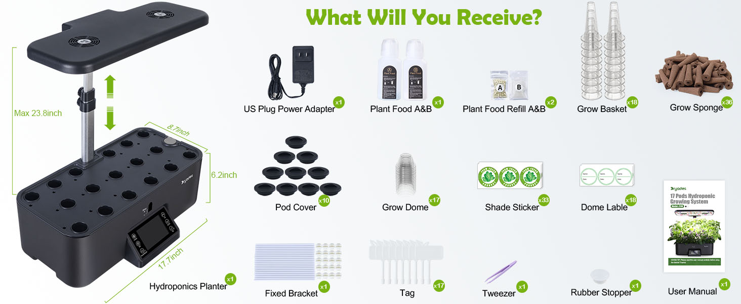 what you will receive