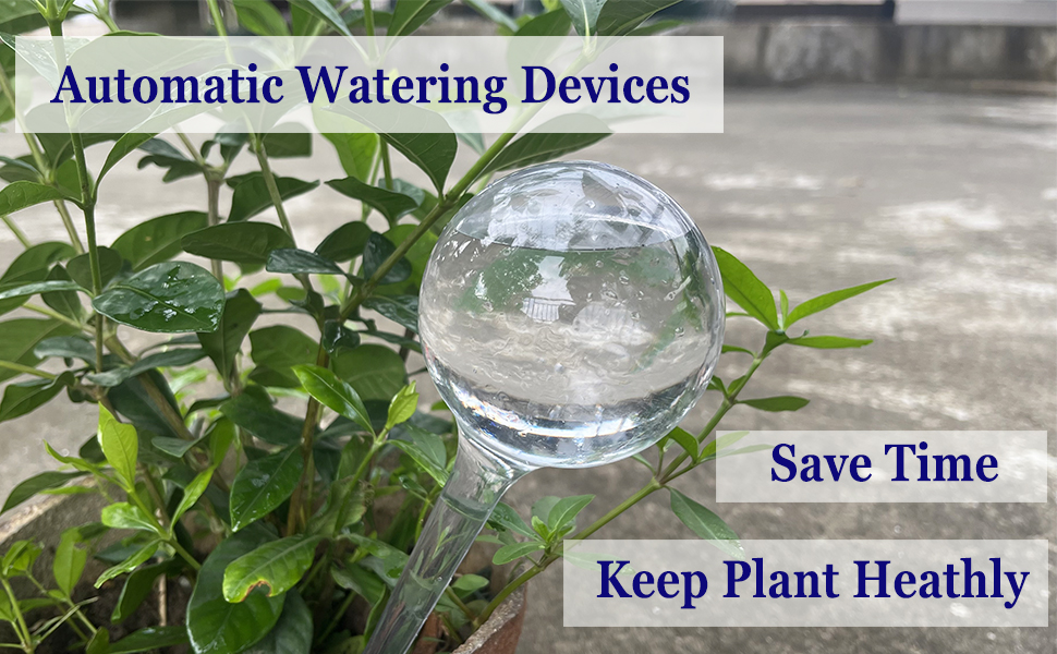 watering spikes