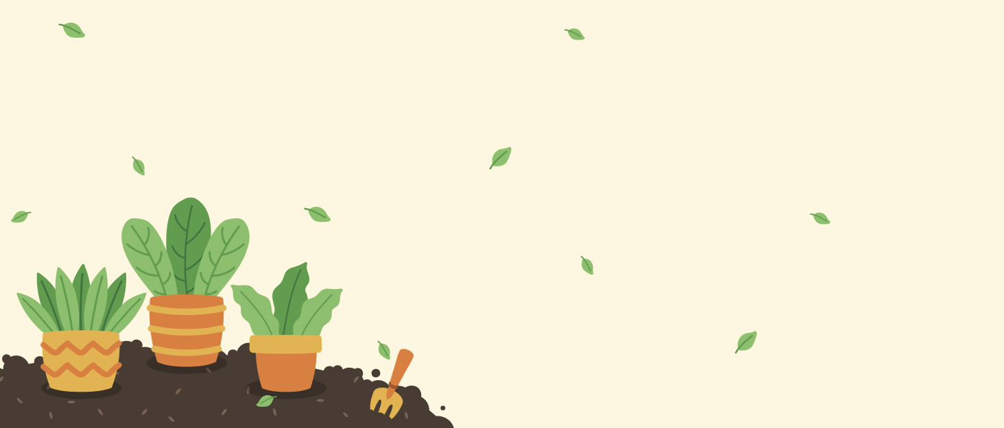 landtouch