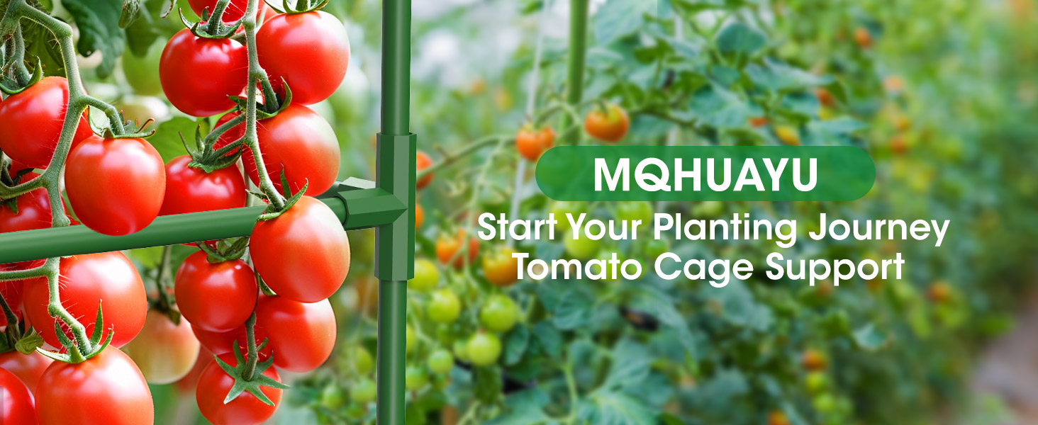 tomato cage 