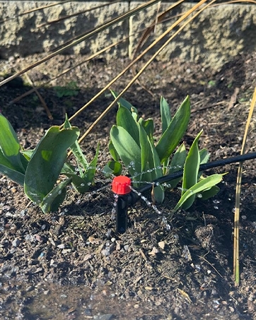 Drip Irrigation Kit 