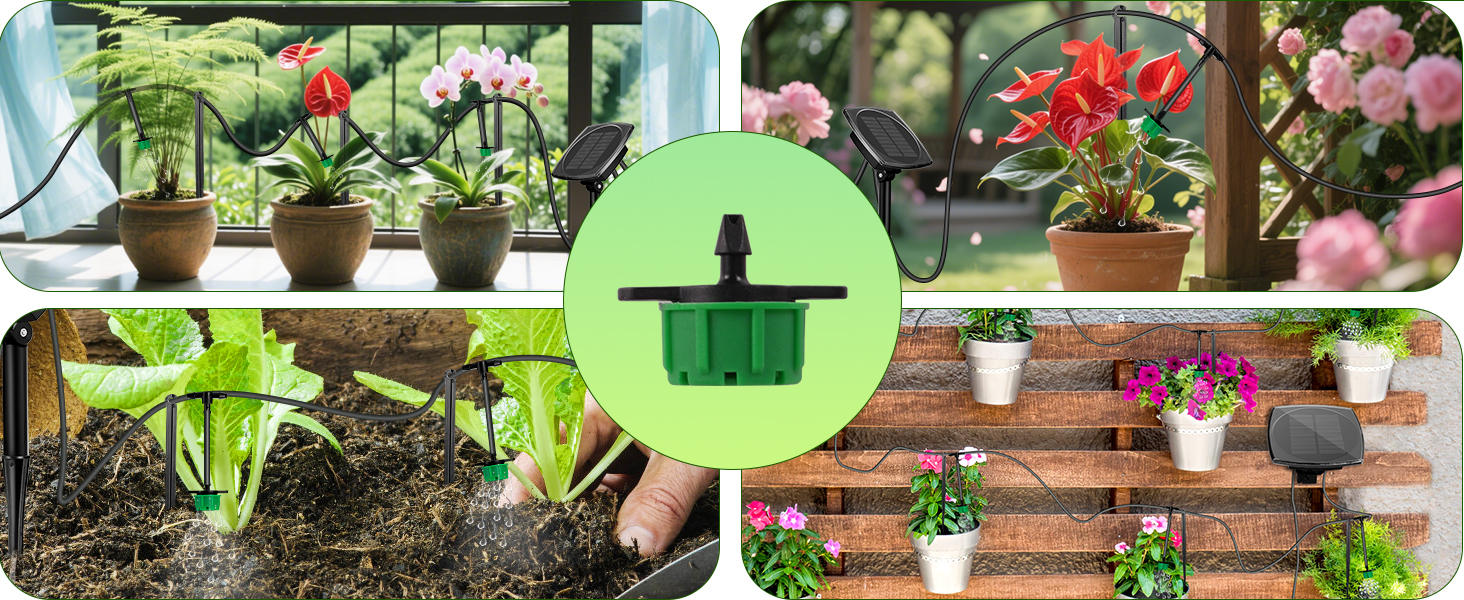 Solar irrigation adjustable for 15 plants at the same time