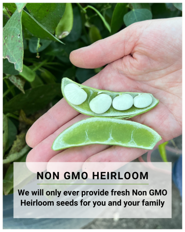 non gmo heirloom seeds that are fresh for you and your family