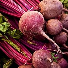 Beet Background