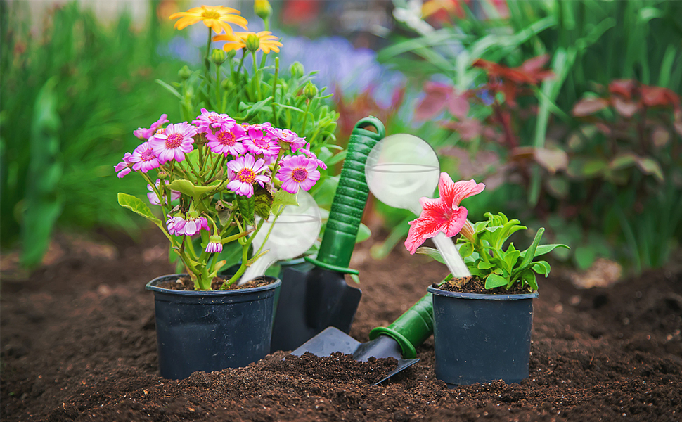 garden watering globe