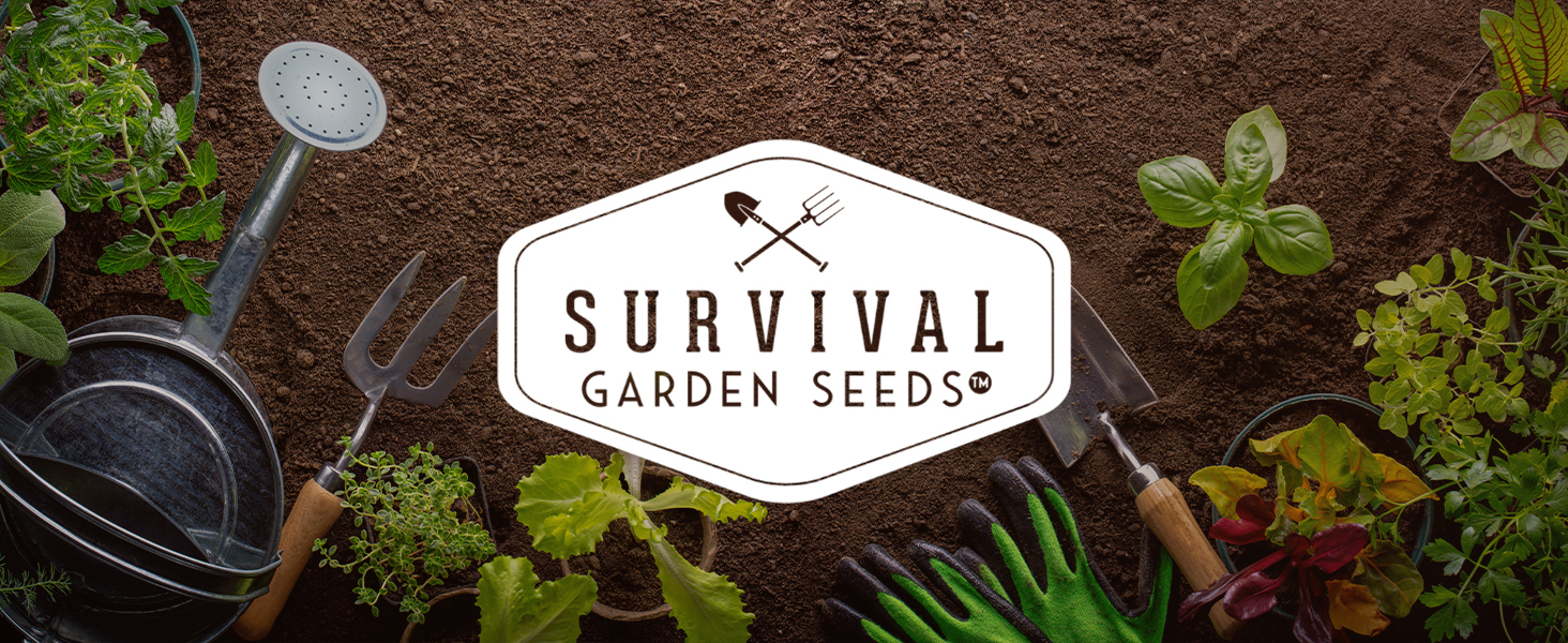 Grow your own vegetable, fruit, and herb garden to feed your family
