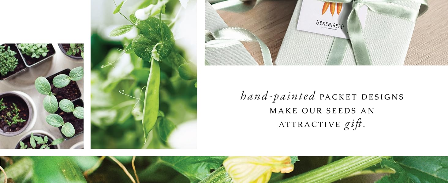 Hand-painted packet designs make our seeds an attractive gift.
