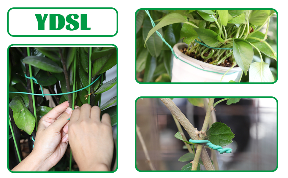 YDSL