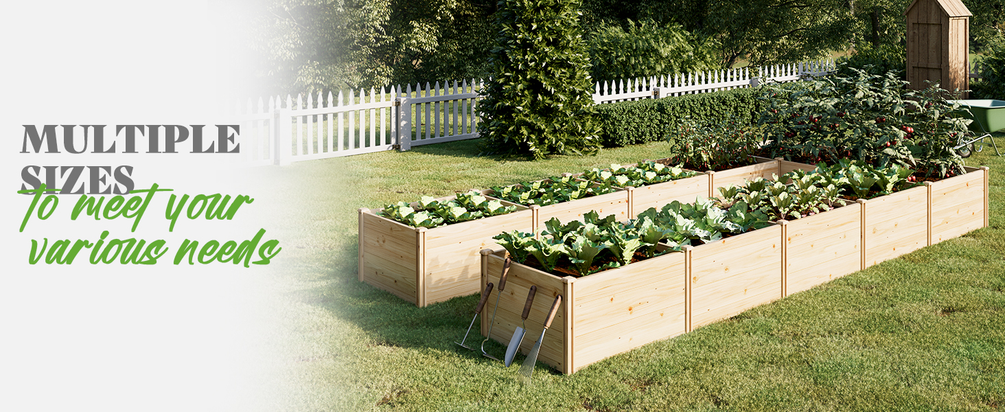 raised garden bed