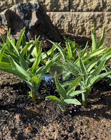 Drip Irrigation Kit 