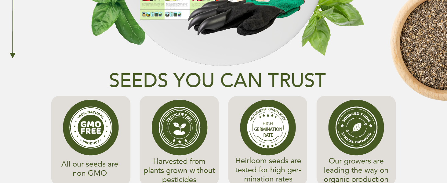 non gmo seeds tomato seeds plant seed veggie seeds gardening seeds