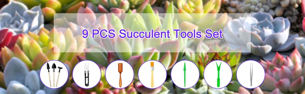 succulent tools set
