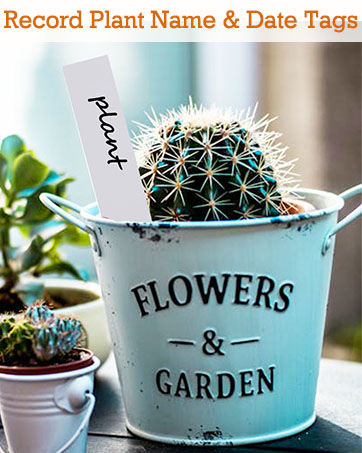 plant name label signs