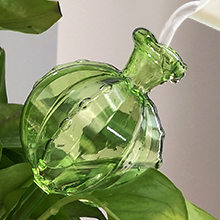plant watering globes
