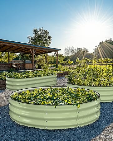 raised garden bed