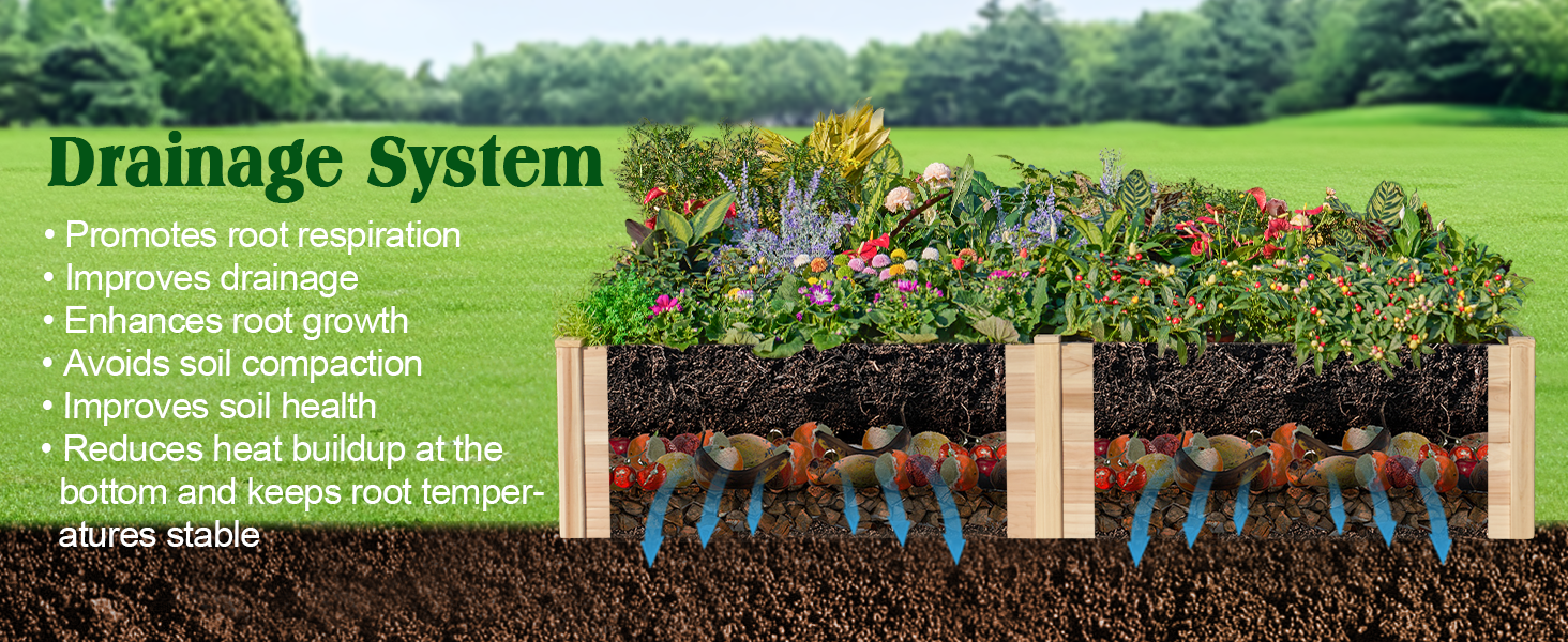 raised garden bed