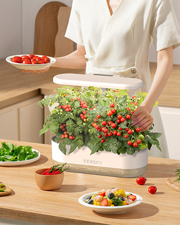 Hydroponic Growing System