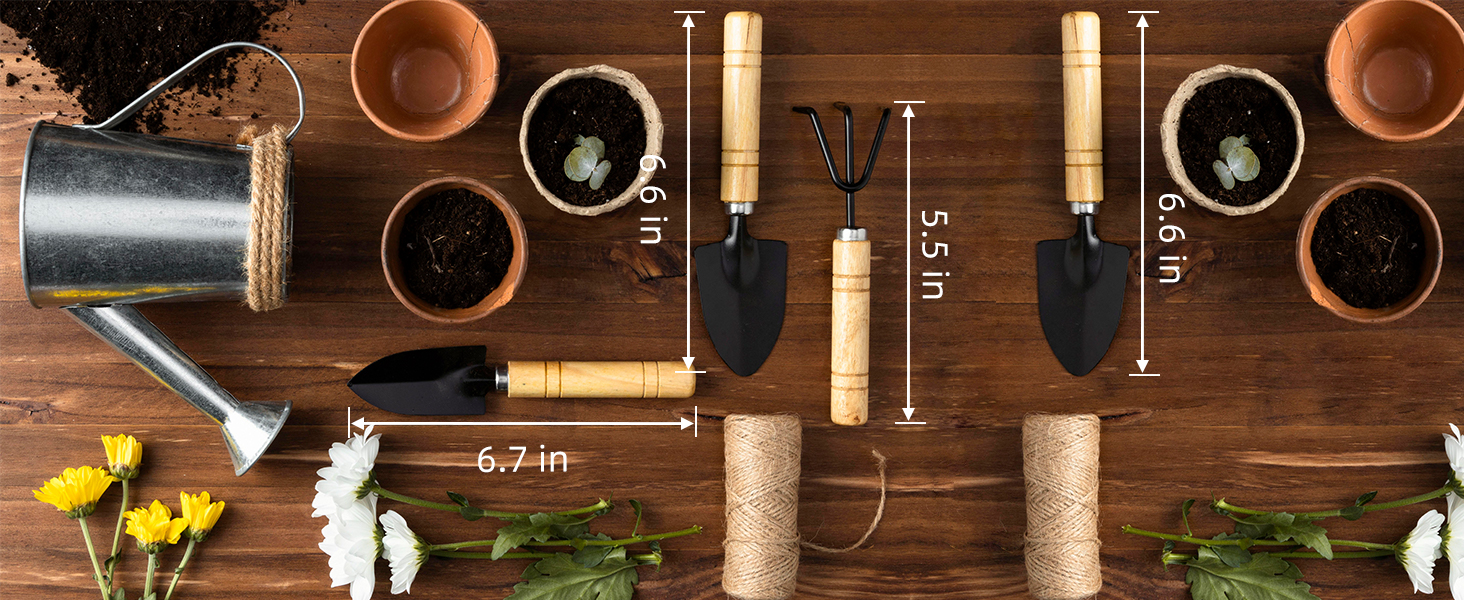 Succulent Tools
