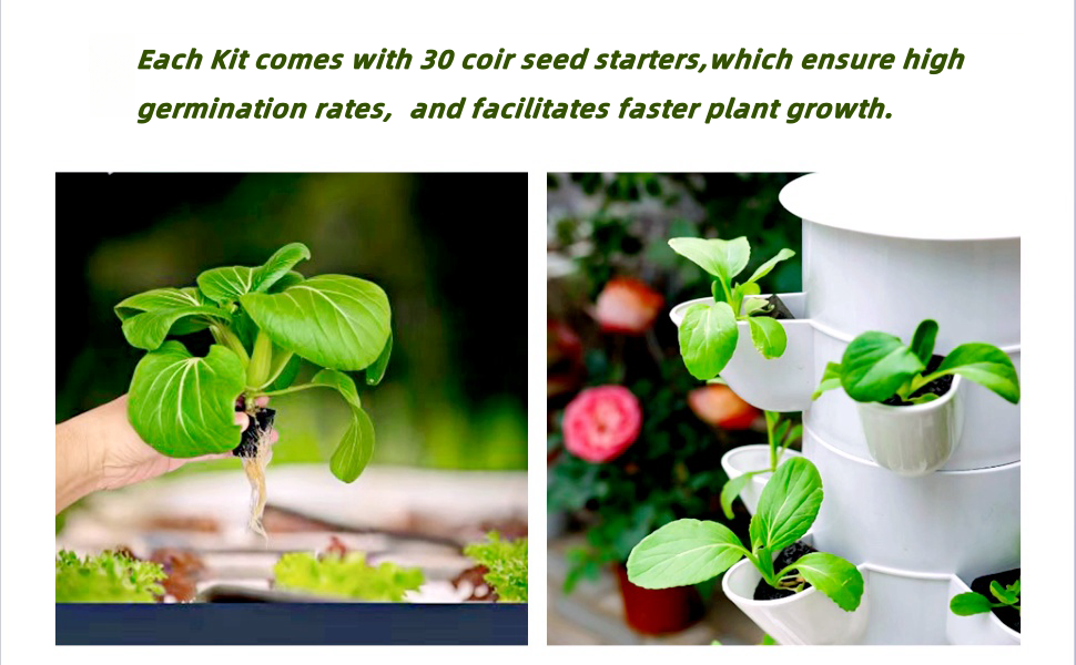 Faster germination and growth