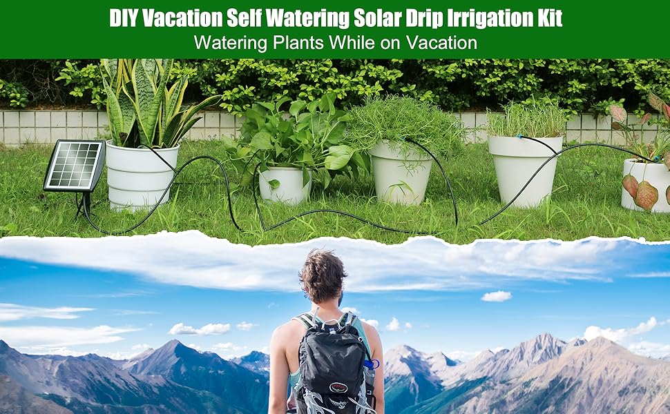 watering plants while on vacation