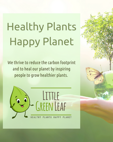 healthy plants happy planet