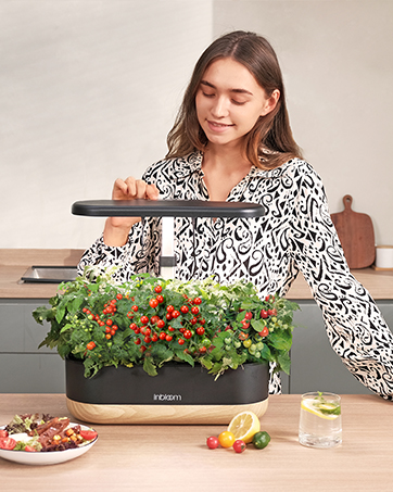 Hydroponics Growing System