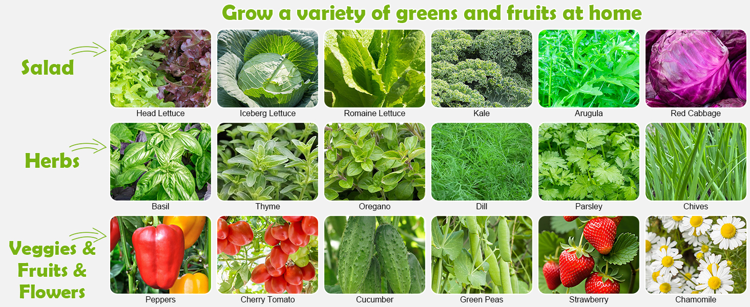 a variety of greens and fruits
