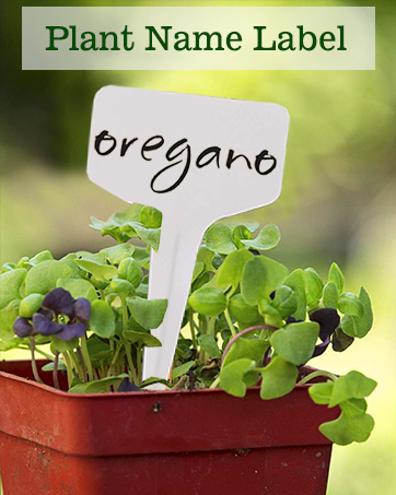record plant name label sign tag