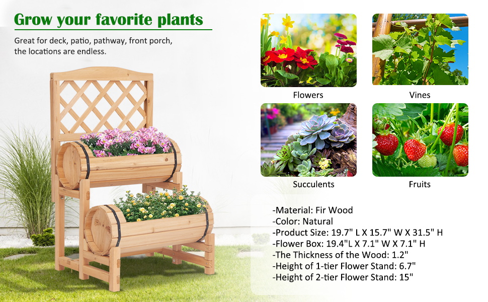 raised garden bed
