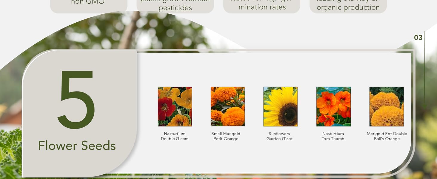 garden plants seeds winter vegetable seeds vegetable seeds planting  vegetable seeds for planting
