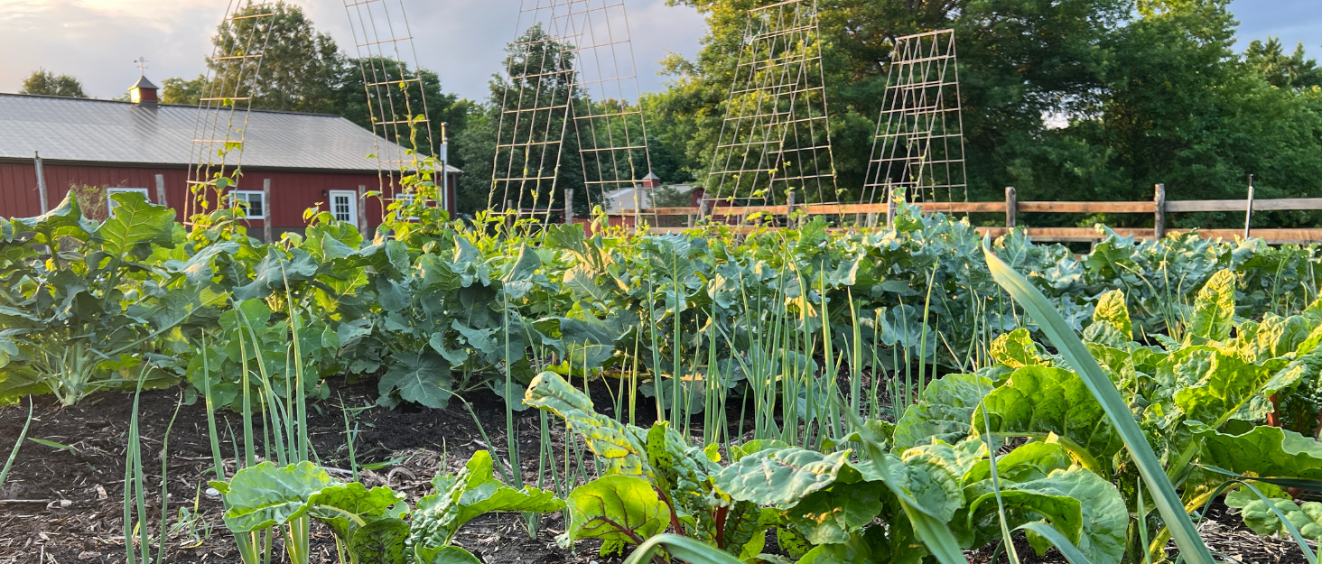 vegetable garden barn trellis