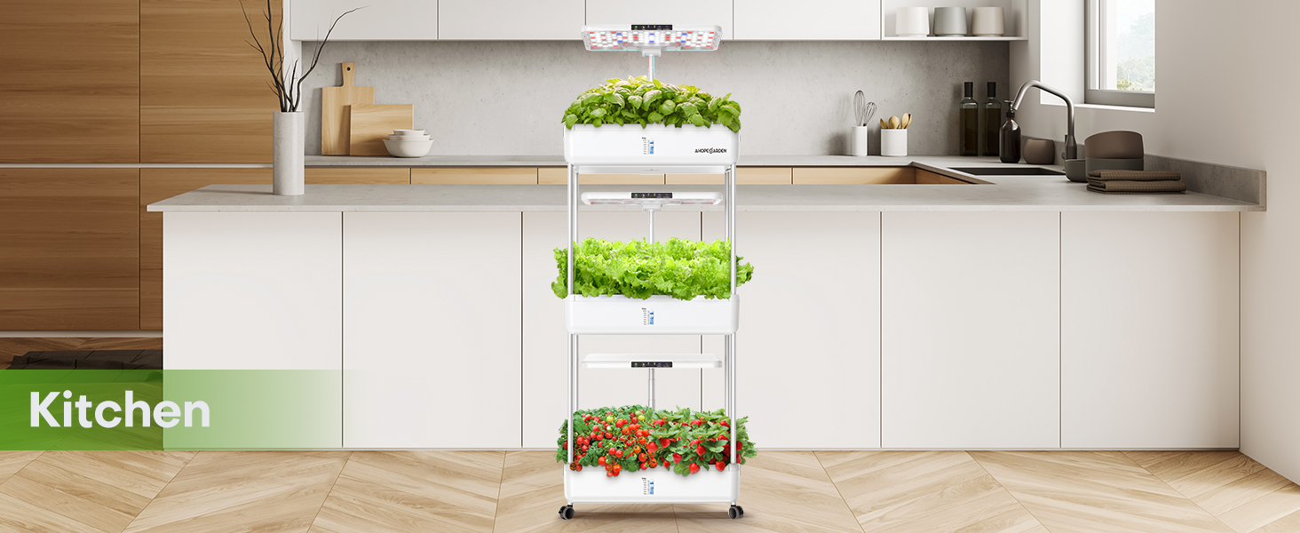 Organic Vegetables