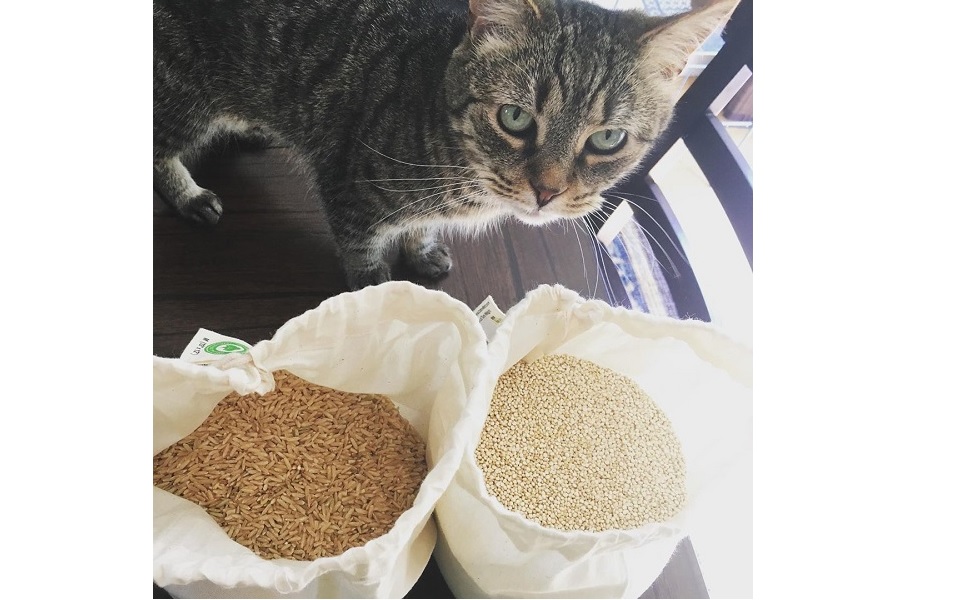 cotton bulk bags