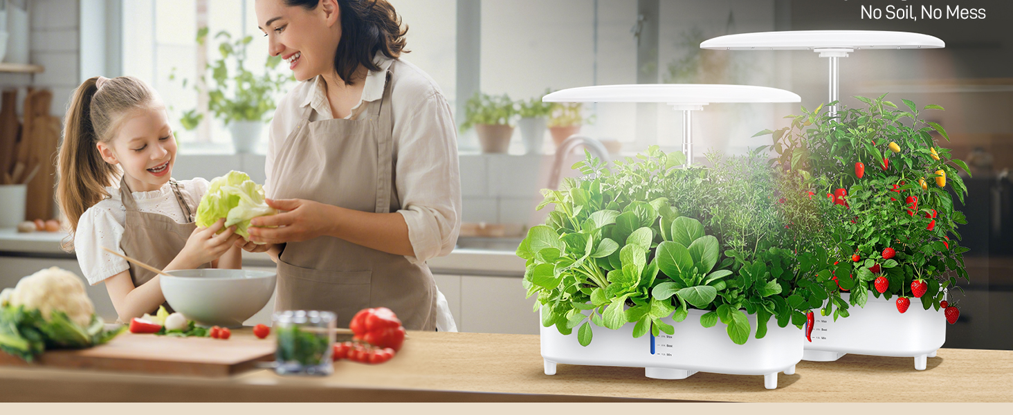 Indoor garden