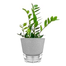 gray plant pots