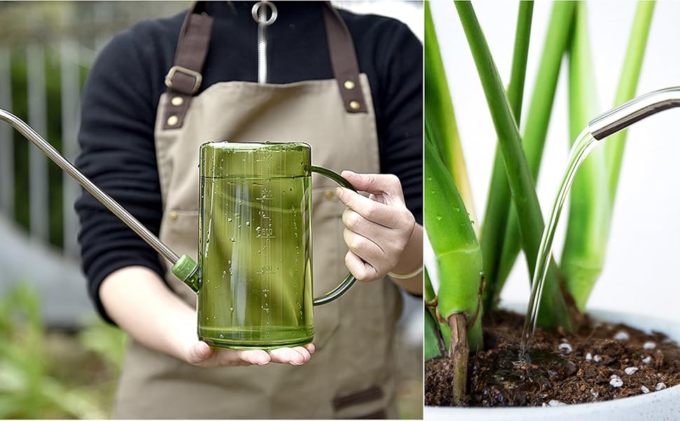 Watering can for indoor plants