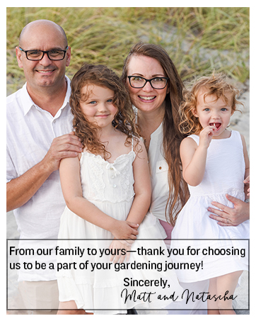 Flower Seeds Vegetables Herb Seeds Cat Nip Seeds Cat Grass Seedss Lavender Seeds Pepper Seeds