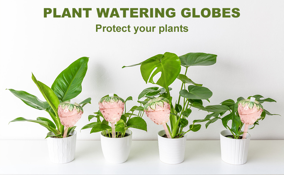 plant watering globes 