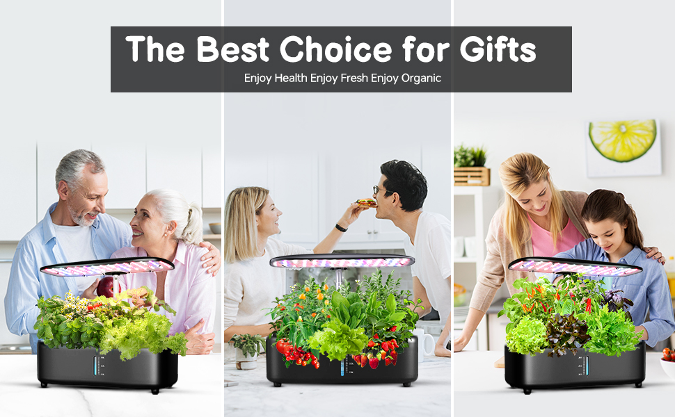  Hydroponics Growing System Kit 