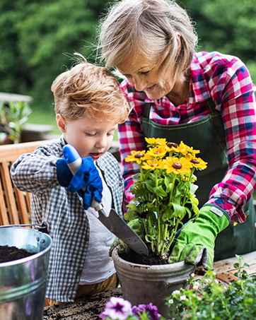automatic plant waterer