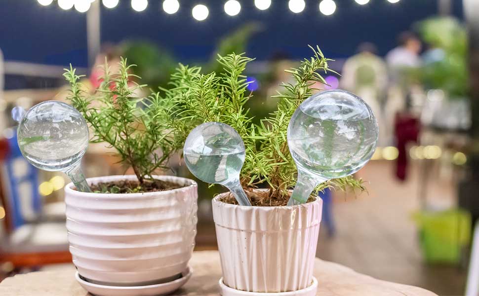 Garden Self Watering for Outdoor Indoor Plant