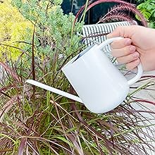 watering can 02