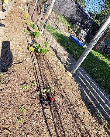 drip irrigation kit