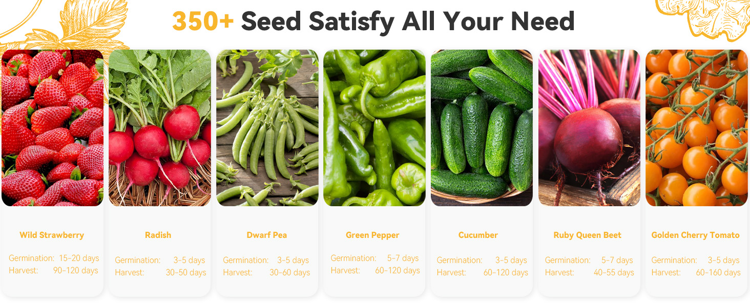 350+ seed satisfy all your need