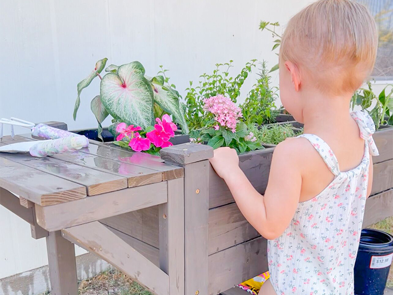 Raised Garden Bed