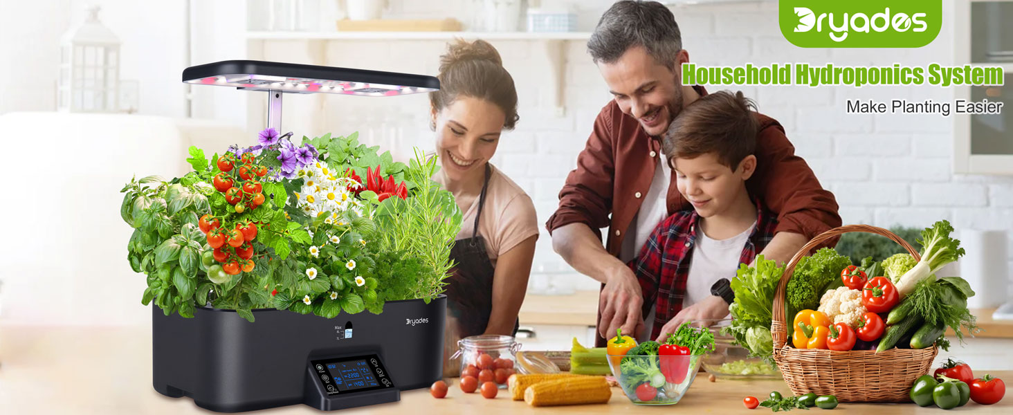 enjoy the herb vegetable in kitchen