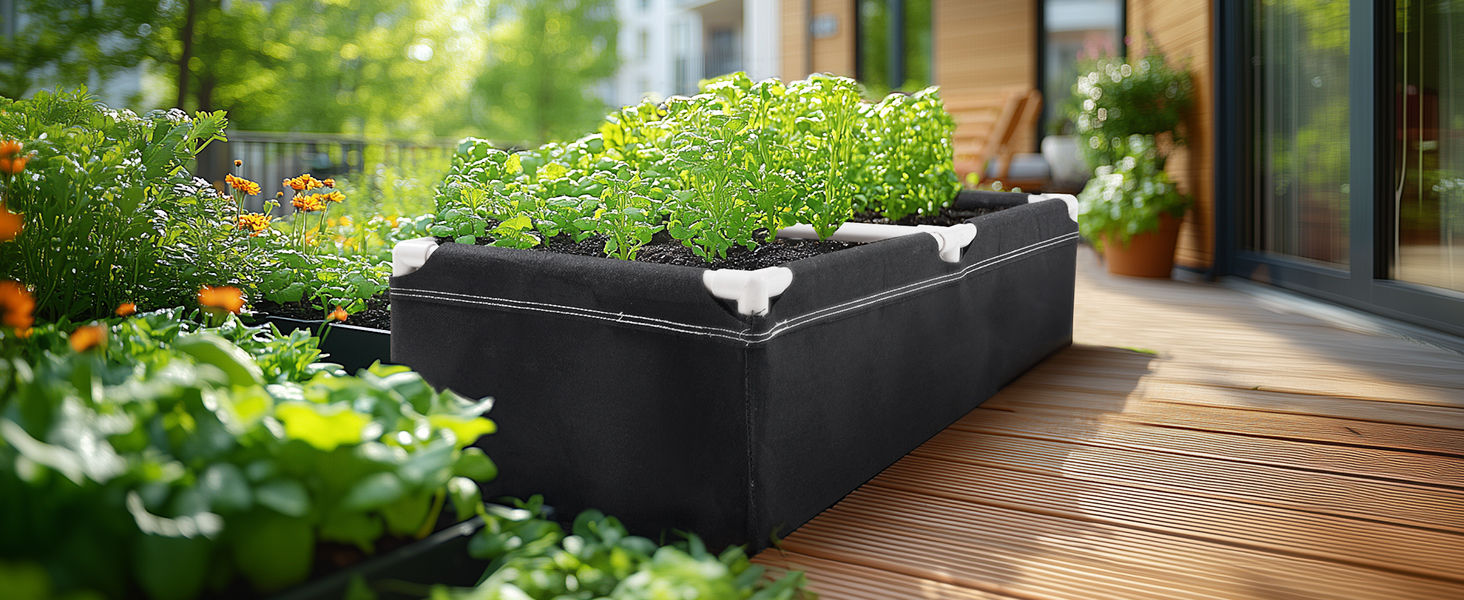 raised beds