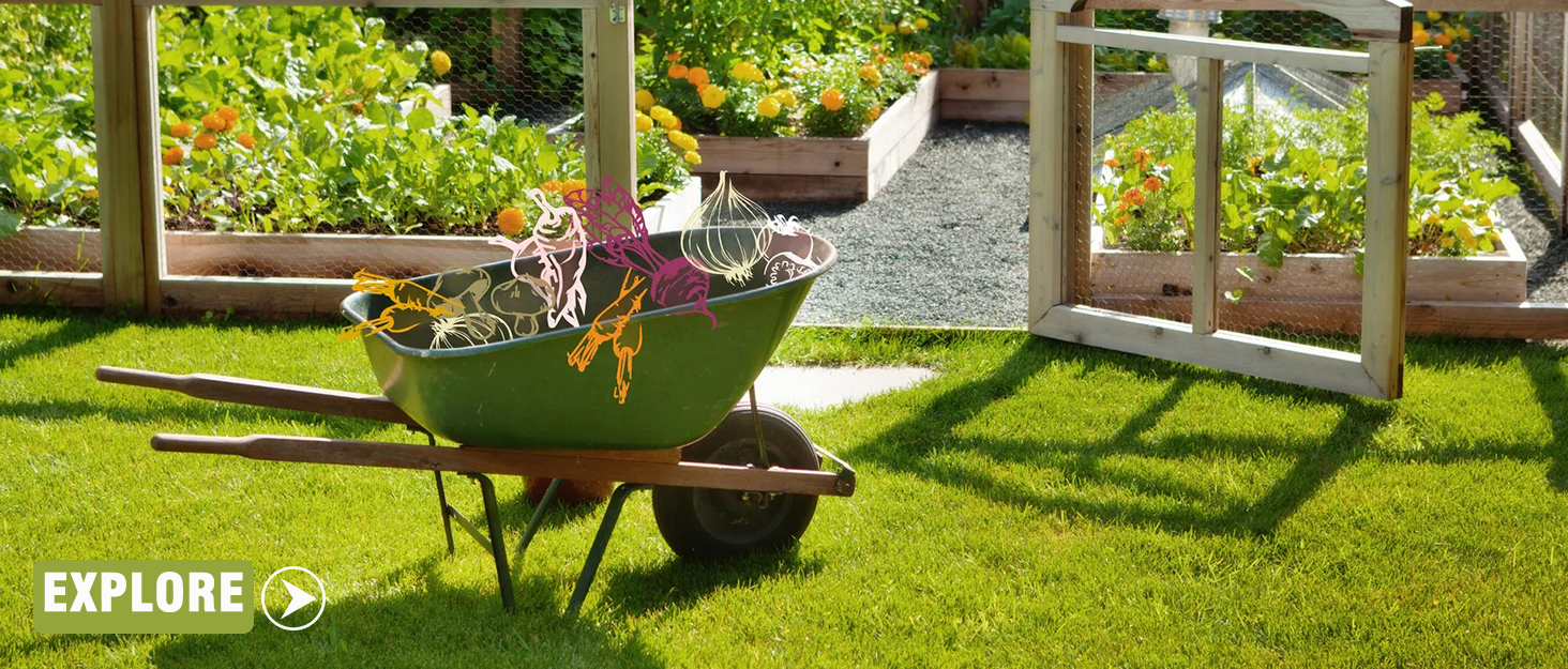 RAIED GARDEN BED