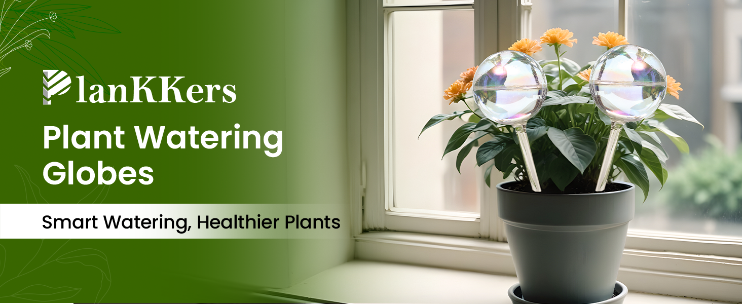 plant watering globes