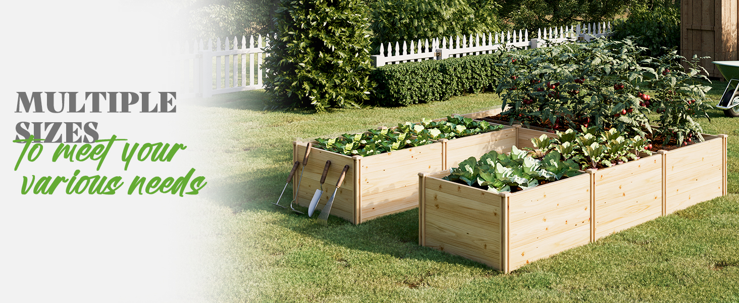 raised garden bed